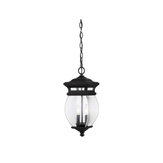 Savoy house 5-8096-BK Seven Oaks 2 Light Hanging Lantern потолочный светильник