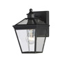 Иконка Savoy house 5-140-BK Ellijay 7" Steel Wall Lantern настенный светильник
