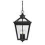 Иконка Savoy house 5-145-BK Ellijay 12" Steel Hanging Lantern потолочный светильник