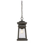 Иконка Savoy house 5-243-213 Taylor Hanging Lantern потолочный светильник