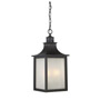 Иконка Savoy house 5-256-13 Monte Grande Hanging Lantern потолочный светильник