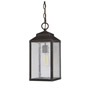 Иконка Savoy house 5-342-213 Brennan Outdoor Hanging Lantern потолочный светильник