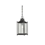 Иконка Savoy house 5-3455-BK Dunnmore Hanging Lantern потолочный светильник
