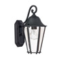 Иконка Savoy house 5-6211-BK Truscott 1 Light Wall Lantern уличный светильник