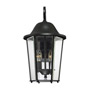 Иконка Savoy house 5-6212-BK Truscott 2 Light Wall Lantern 