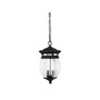 Иконка Savoy house 5-8096-BK Seven Oaks 2 Light Hanging Lantern потолочный светильник