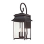 Иконка Savoy house 5-9541-25 Durham Large Lantern W/ Scroll настенный светильник