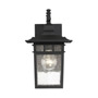 Иконка Savoy house 5-9590-BK Linden 7" Wall Lantern настенный светильник